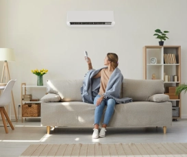 THE SMART HOME MANUAL